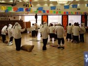 ����� ������� - ��� ������ 2 - 2006 